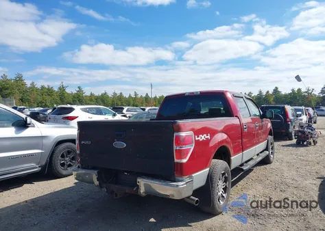 2009 Ford F-150 Fx4/King Ranch/Lariat/Platinum/Xl/Xlt from USA, damaged, VIN 1FTPW14V89FA10892